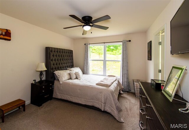 1532 Saint Charles Dr, Hillsboro, MO 63050