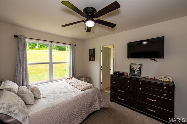 1532 Saint Charles Dr, Hillsboro, MO 63050
