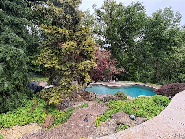 16427 Andraes Dr, Chesterfield, MO 63005 - view of swimming pool