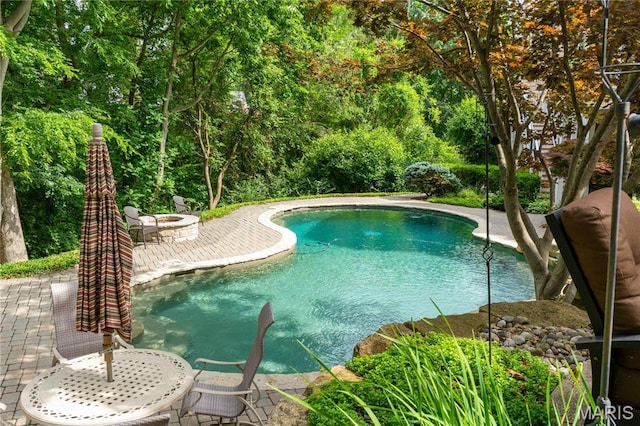 16427 Andraes Dr, Chesterfield, MO 63005 - swimming pool with a fire pit and a patio area