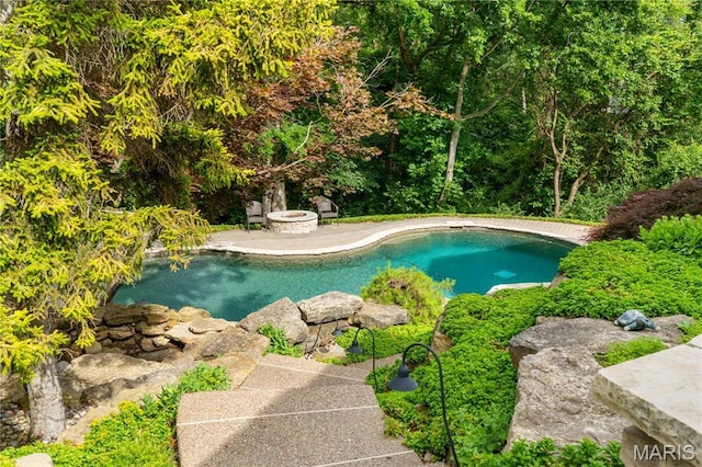 16427 Andraes Dr, Chesterfield, MO 63005 - swimming pool with a patio