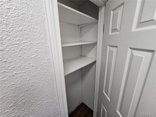 939 Green Mount Ln, Belleville, IL 62220 - view of closet