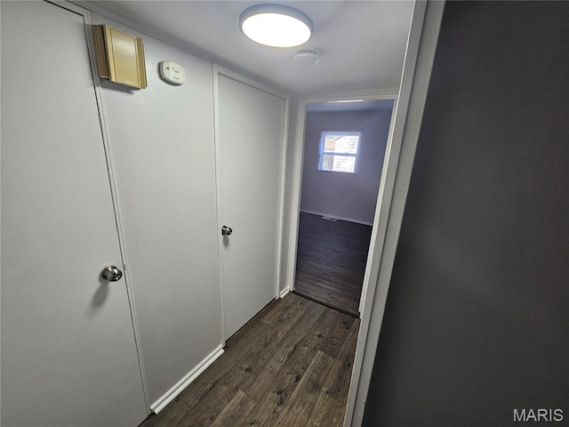 1150 Lilac Dr, Belleville, IL 62220 - hall featuring dark wood-style flooring and baseboards