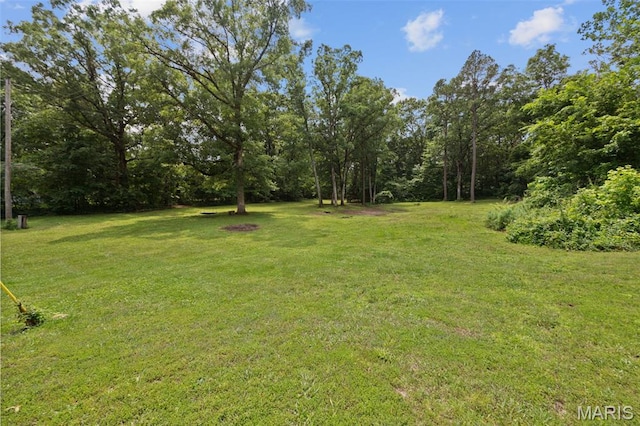 14864 S State Highway 21, Potosi, MO 63664 - view of grassy yard