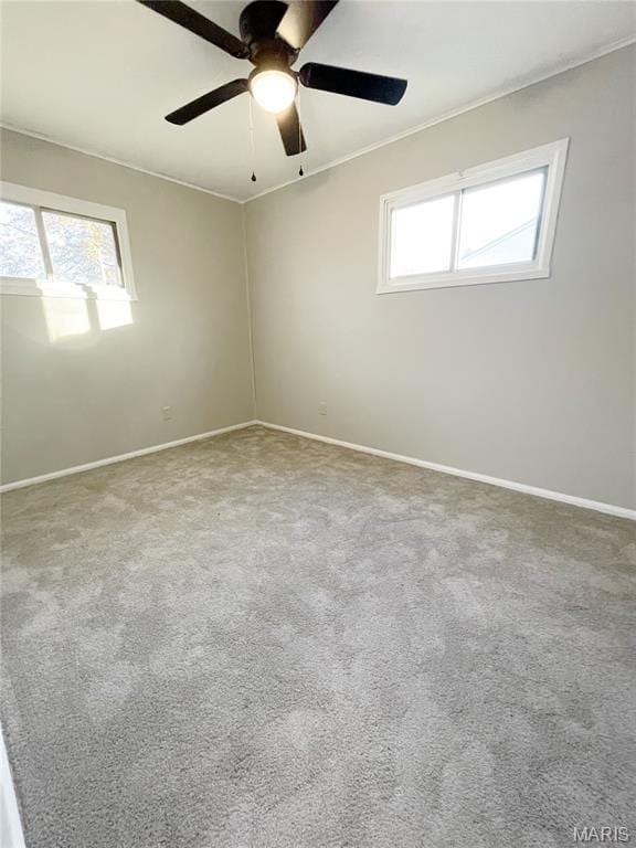 913 N 38th St, Belleville, IL 62226 - carpeted spare room featuring baseboards, a ceiling fan, and crown molding