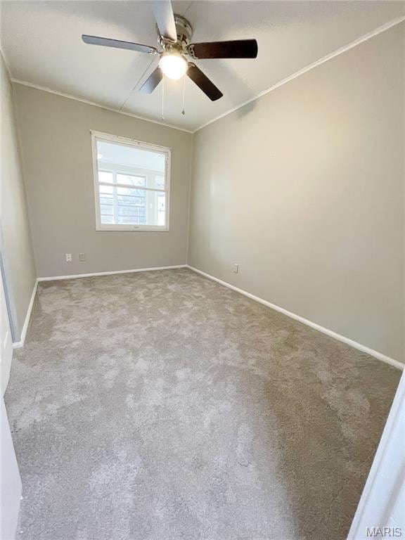 913 N 38th St, Belleville, IL 62226 - spare room featuring ceiling fan, carpet flooring, baseboards, and ornamental molding
