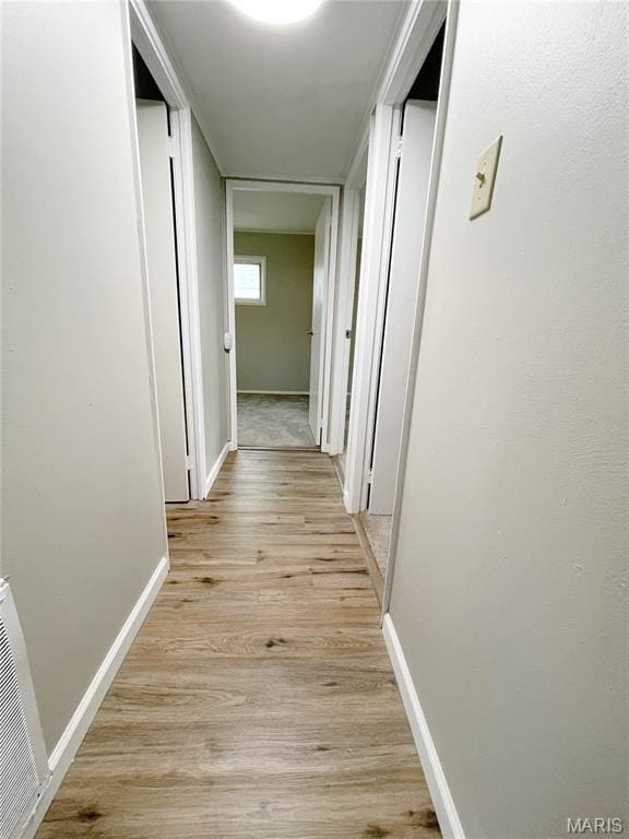 913 N 38th St, Belleville, IL 62226 - hall with light wood-style floors and baseboards