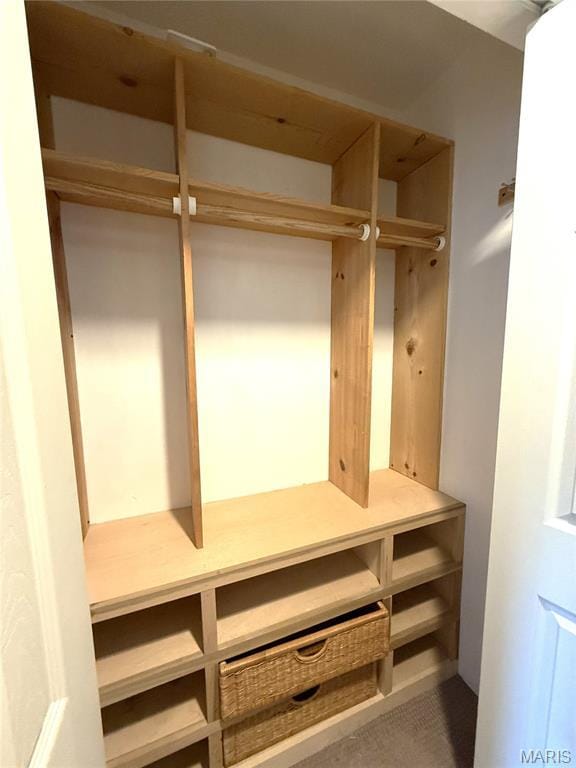 4333 Laclede Ave Unit D, Saint Louis, MO 63108 - view of closet