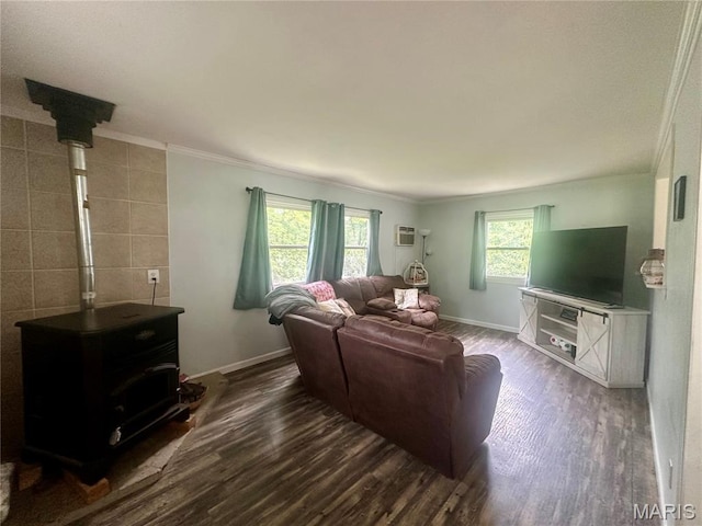 19040 State Route Ee, St James, MO 65559 - living room featuring a wood stove, dark wood finished floors, and ornamental molding