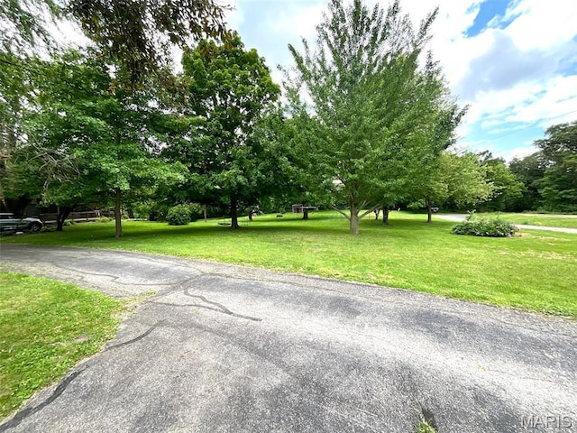 882 Plant School Ave, Greenville, IL 62246 - photo 29