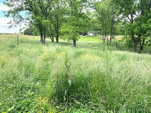 882 Plant School Ave, Greenville, IL 62246 - photo 31