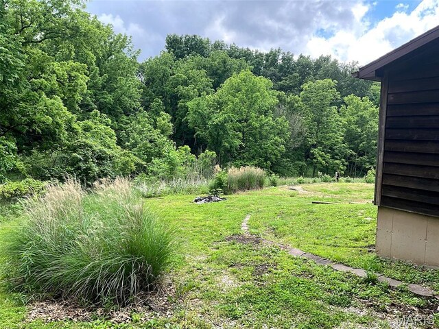 882 Plant School Ave, Greenville, IL 62246 - photo 38