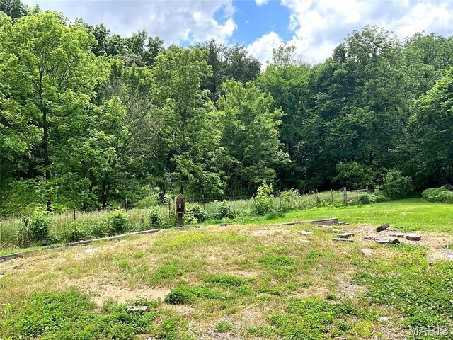 882 Plant School Ave, Greenville, IL 62246 - photo 42