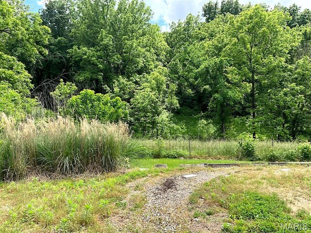 882 Plant School Ave, Greenville, IL 62246 - photo 43