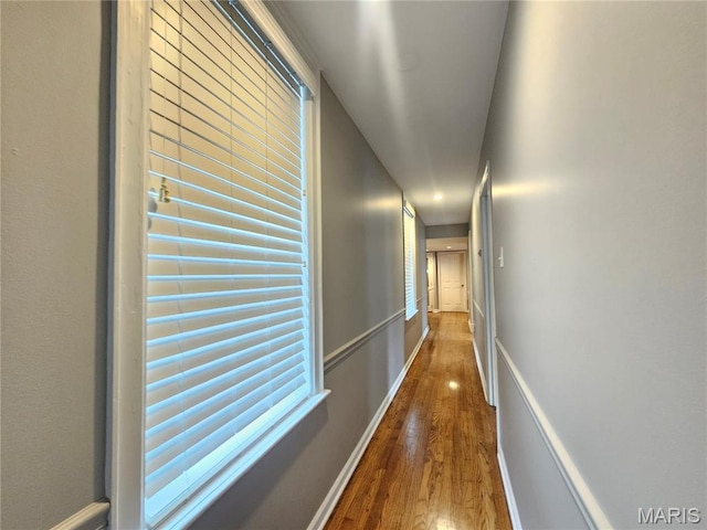 6240 Rosebury Ave Unit 2E, Saint Louis, MO 63105 - hall featuring wood finished floors and baseboards