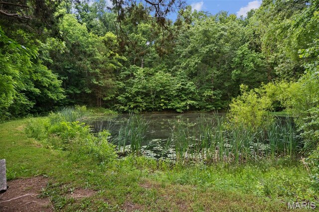 19185 Highway Hwy, Arcadia, MO 63621 - view of tree filled area with a water view