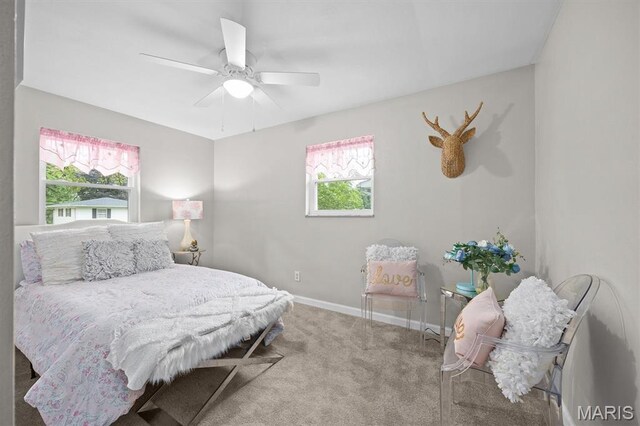 125 Chateau Dr, Fairview Heights, IL 62208 - photo 20