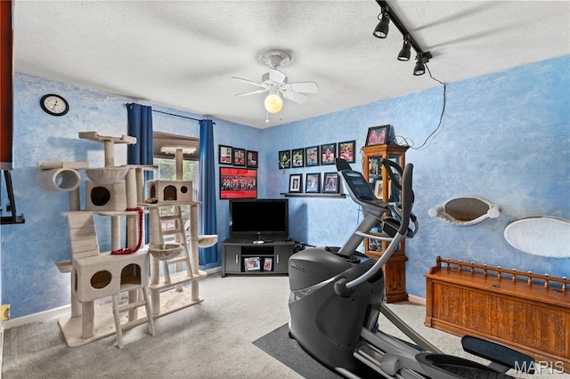 818 Sheraton Ln, Herculaneum, MO 63048 - workout room with rail lighting, a ceiling fan, a textured ceiling, carpet, and baseboards
