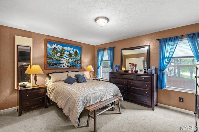 818 Sheraton Ln, Herculaneum, MO 63048 - bedroom featuring a textured ceiling, carpet flooring, baseboards, and a textured wall