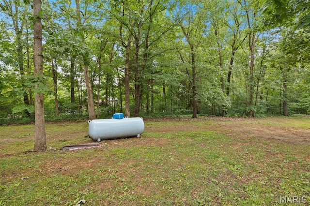10041 Fox Haven Rd, Blackwell, MO 63626 - view of yard