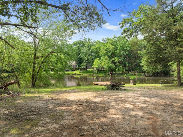 346 Big Cedar Dr, Foristell, MO 63348 - photo 36