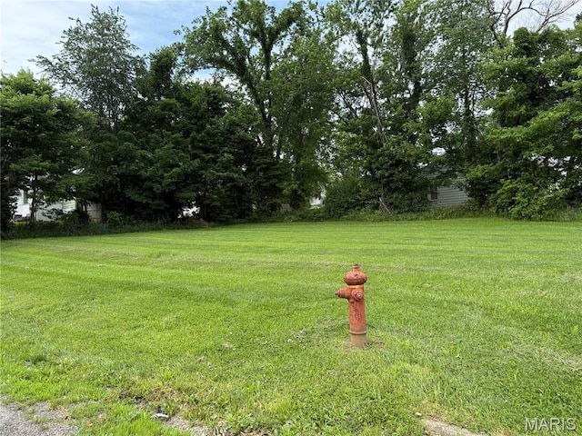 1106 W Gallatin St, Vandalia, IL 62471