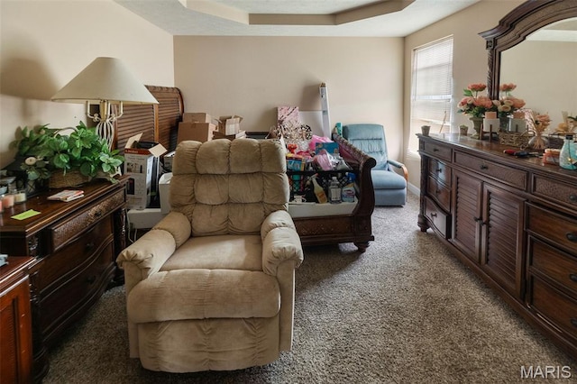 806 Erika Leigh Ct, Caseyville, IL 62232 - living area with carpet floors and a raised ceiling