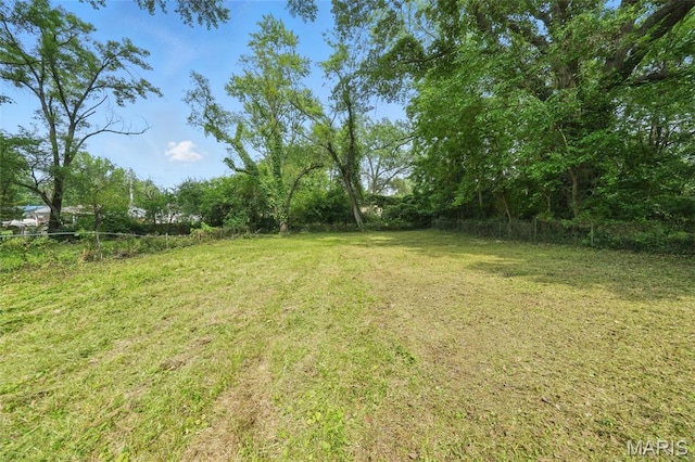 260 S Hartnett Ave, Saint Louis, MO 63135 - view of yard
