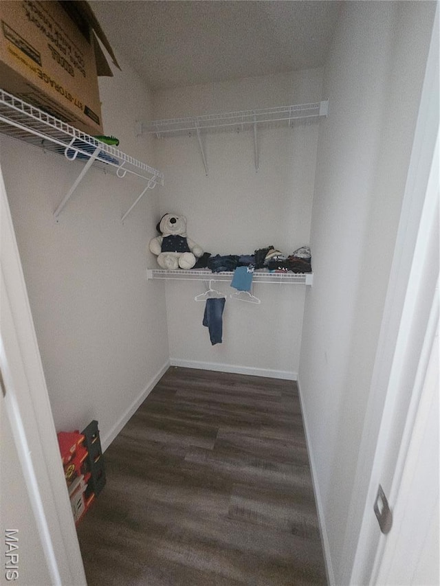 292 Southview Dr, Jackson, MO 63755 - spacious closet with dark wood-type flooring