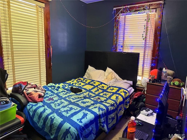 111 N Levering Ave, Hannibal, MO 63401 - view of bedroom