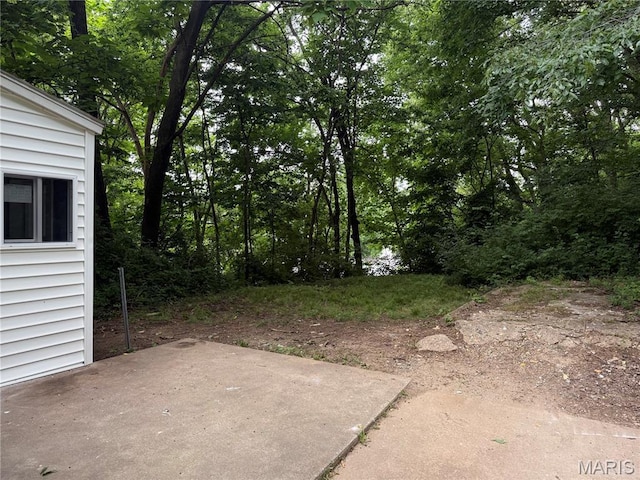 111 N Levering Ave, Hannibal, MO 63401 - view of yard featuring a patio