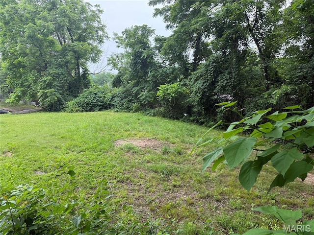 111 N Levering Ave, Hannibal, MO 63401 - view of green lawn