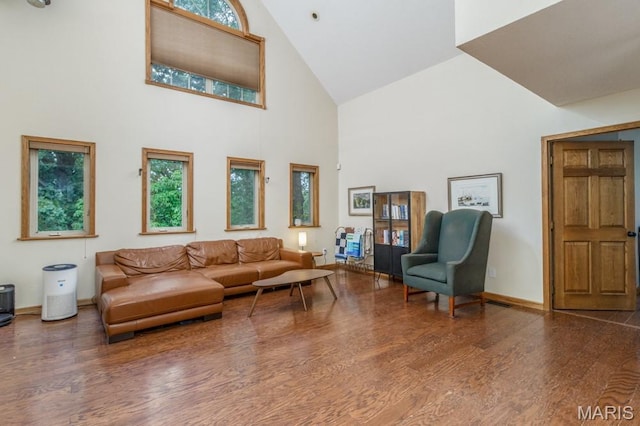25350 Englewood Ln, Lebanon, MO 65536 - living area with high vaulted ceiling, wood finished floors, and baseboards