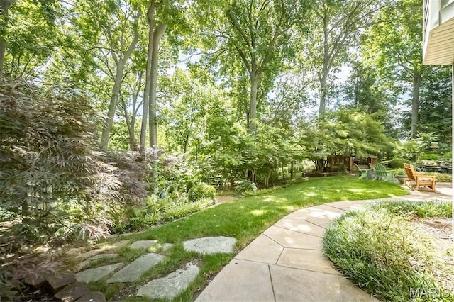 718 River Hills Dr, Fenton, MO 63026 - photo 74