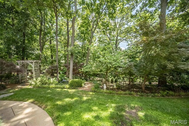 718 River Hills Dr, Fenton, MO 63026 - photo 78