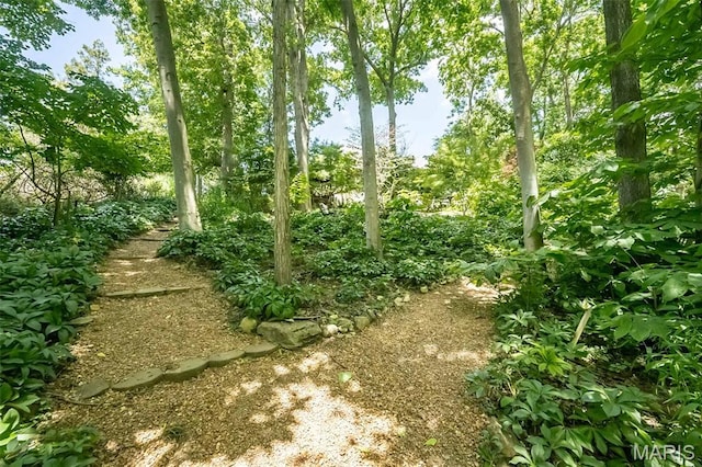 718 River Hills Dr, Fenton, MO 63026 - photo 84