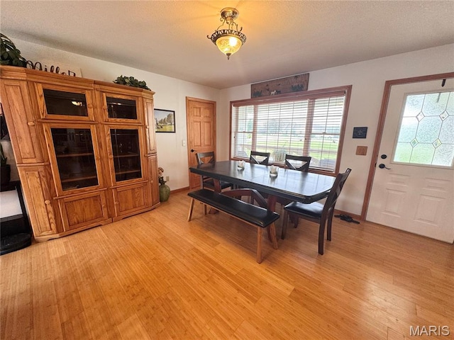 3581 Eagle Crest Dr, Palmyra, MO 63461 - dining area featuring light wood-type flooring, baseboards, and a textured ceiling