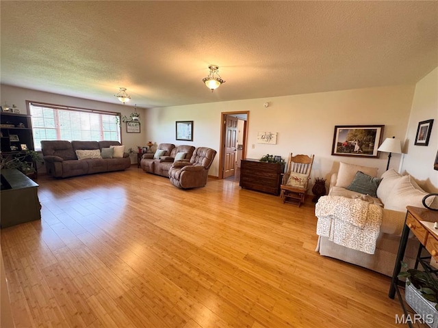 3581 Eagle Crest Dr, Palmyra, MO 63461 - living room with light wood finished floors and a textured ceiling