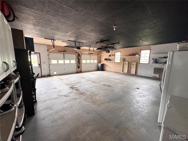 3581 Eagle Crest Dr, Palmyra, MO 63461 - garage with freestanding refrigerator and a garage door opener