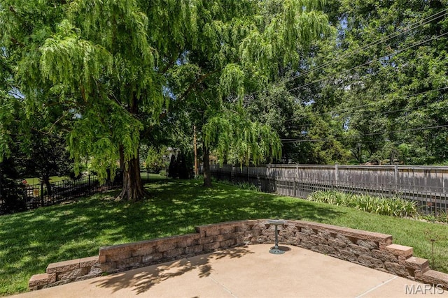 4609 Parrot Ct, Saint Louis, MO 63128 - photo 21