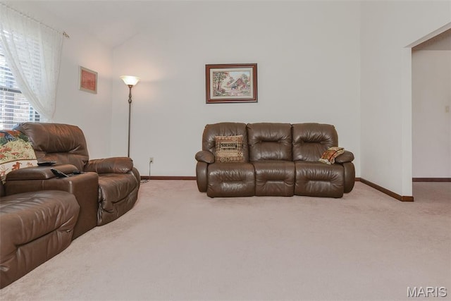 4609 Parrot Ct, Saint Louis, MO 63128 - photo 27