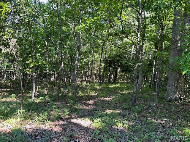 3 Lori Ln, Ironton, MO 63650