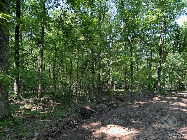 3 Lori Ln, Ironton, MO 63650