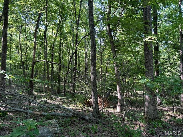 3 Lori Ln, Ironton, MO 63650