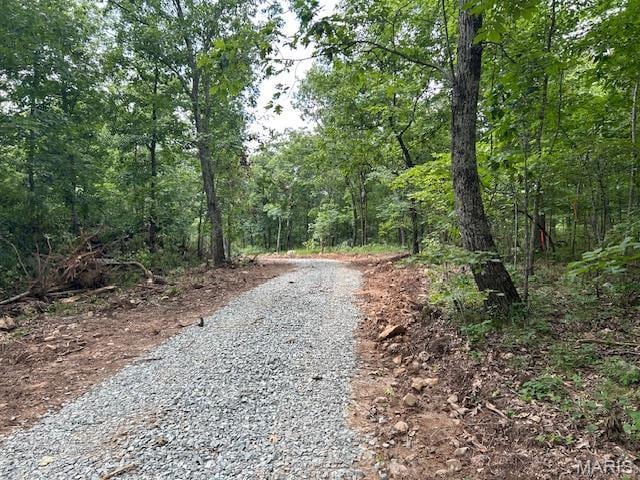 3 Lori Ln, Ironton, MO 63650 - photo 1