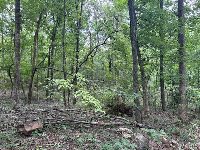 3 Lori Ln, Ironton, MO 63650 - photo 9