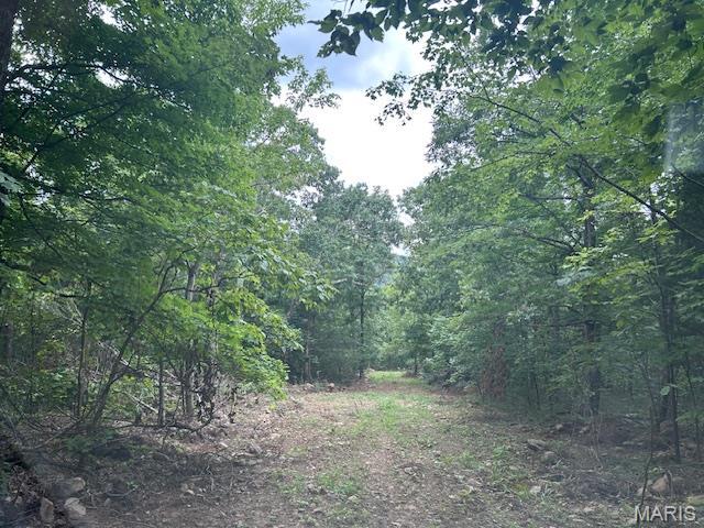 3 Lori Ln, Ironton, MO 63650 - photo 11