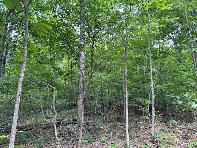 3 Lori Ln, Ironton, MO 63650 - photo 17