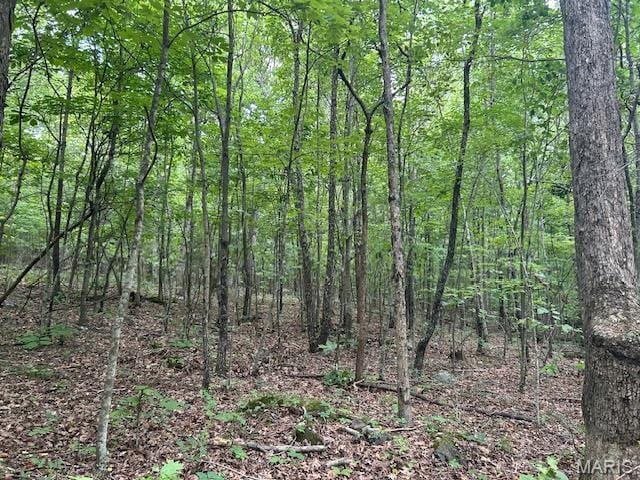 3 Lori Ln, Ironton, MO 63650 - photo 18