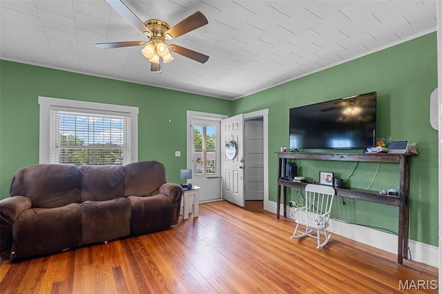 618 Parkview St, Jackson, MO 63755 - living room featuring wood finished floors, ceiling fan, and baseboards